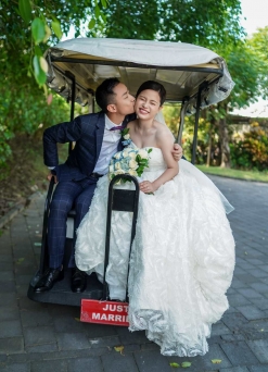 nana的白鸽教堂婚礼